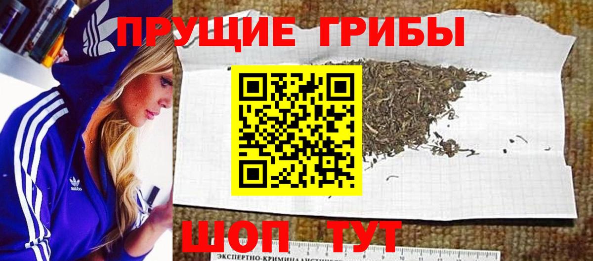 Борисоглебск  как найти закладки  Вход с VPN  Псилоцибиновые грибы MAGIC MUSHROOMS 
