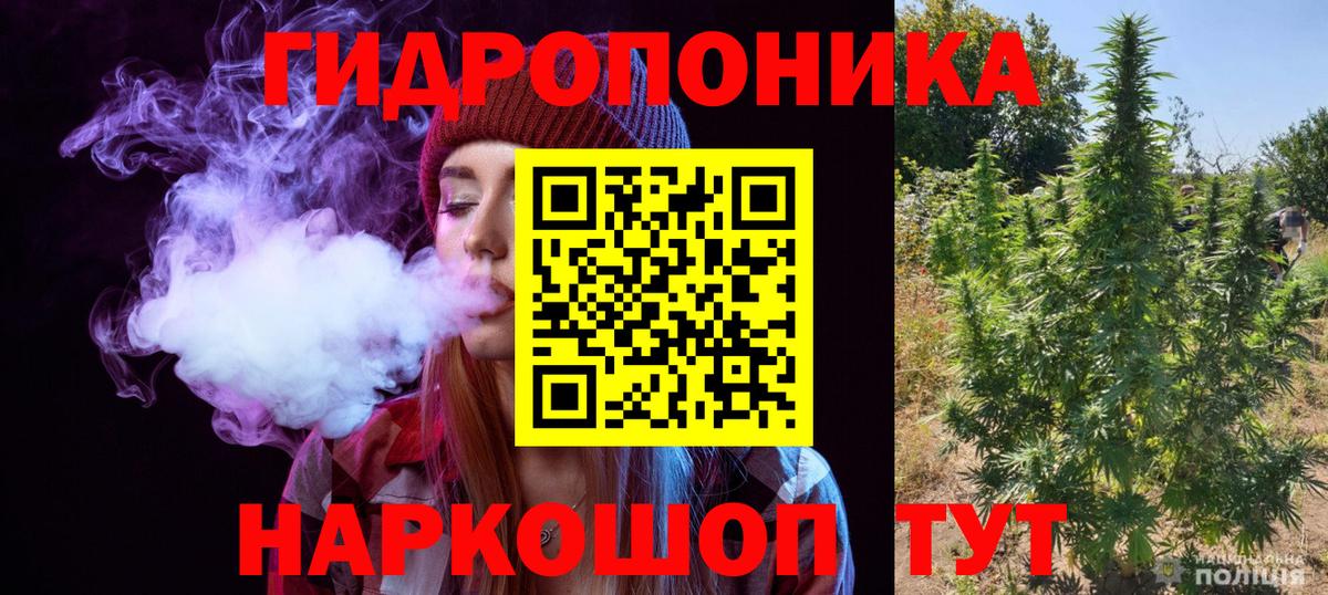Конопля MAZAR Борисоглебск